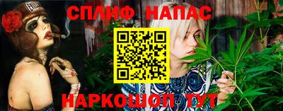 спиды Пугачёв
